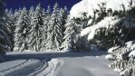 Топ шин января: время затишья или переходный период?