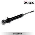 MILES DG02563