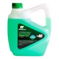NORTH ICE Green G11 зеленый, 5кг