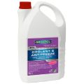 Ravenol ETC Concentrate Protect C12evo красный 5л