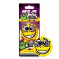 AREON 704-SMR-325 пропитанный BEVERLY HILLS