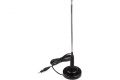 SkyWay S00202007