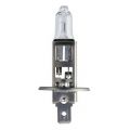 Philips H1 12V 55W LongLife EcoVision (2 шт.)