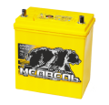 Медведь Silver Asia Ca/Ca 50B19R 44А/ч-12V ст EN370 японские прямая 187x127x220