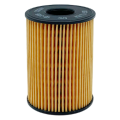 BIG FILTER GB1495