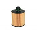 Filtron OE6823