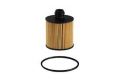 SCT SH4075P