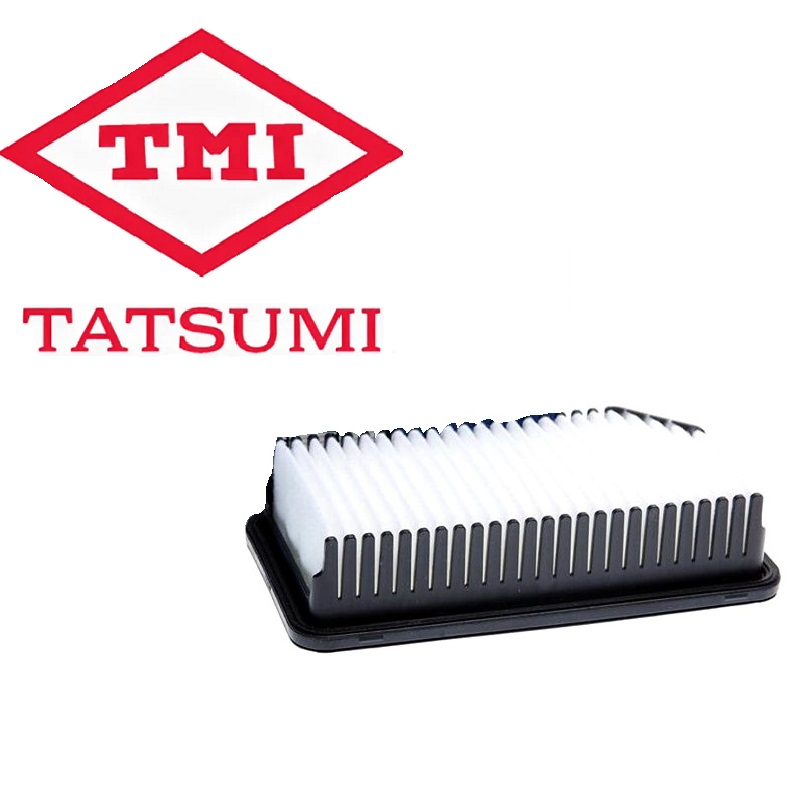 TATSUMI TBC1273