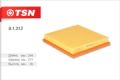 TSN 9.1.313
