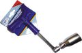 ALCA 421210-