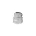 Sasic 2650025