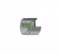 Frenkit P524801