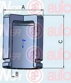 Поршень тормозного суппорта Seinsa Autofren D025264