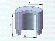 Поршень тормозного суппорта Seinsa Autofren D025336