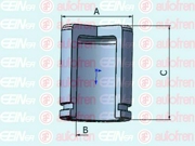 Поршень тормозного суппорта Seinsa Autofren D025338