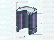 Поршень тормозного суппорта Seinsa Autofren D025357