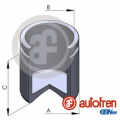 Seinsa Autofren D025459