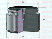 Поршень тормозного суппорта Seinsa Autofren D025625