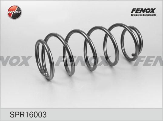 Пружина Fenox SPR16003