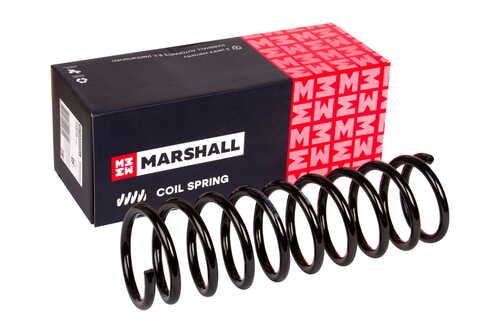 Пружина Marshall M8030020