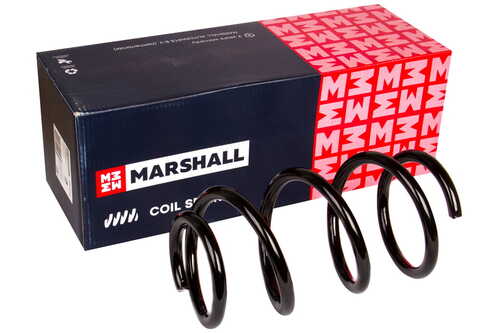 Пружина Marshall M8030140