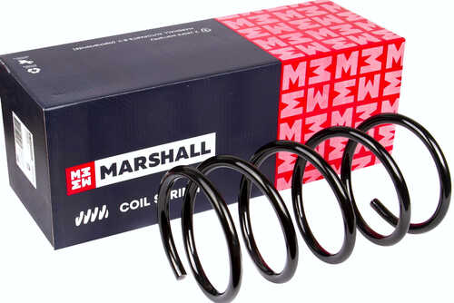 Пружина Marshall M8030390