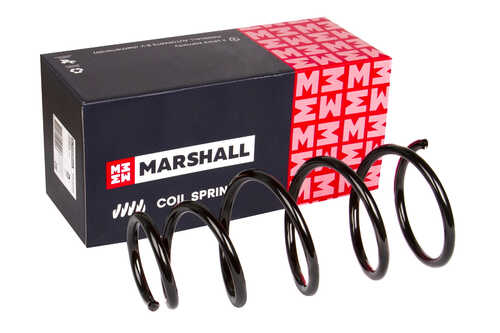 Пружина Marshall M8030650