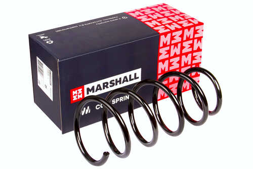 Пружина Marshall M8030700