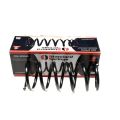 Standard Springs ST102002R подвески AUDI A4