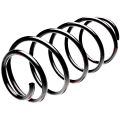 Standard Springs ST106065F металлическая
