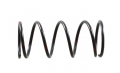 Standard Springs ST119053R подвески