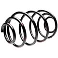 Standard Springs ST124078R металлическая