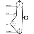 GATES 5086 109х22