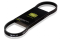 Trialli 4PK954 поликлиновый