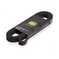 Trialli 6PK2013 поликлиновый