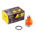 ASP RJ00021