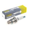 GANZ GIP22043 1 шт.
