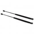 Arbori HD.02210