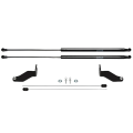 Rival A.ST.8001.1 FAW Bestune T77